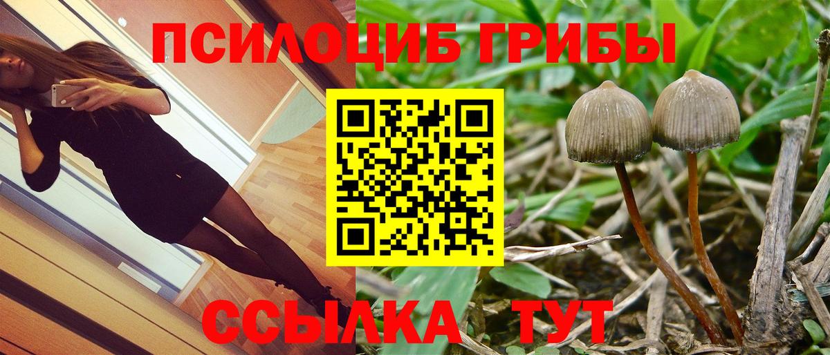 Малоярославец  Псилоцибиновые грибы GOLDEN TEACHER  Вход с VPN 