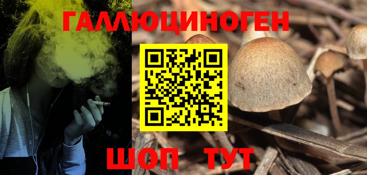 Галлюциногенные грибы мухоморы Малоярославец